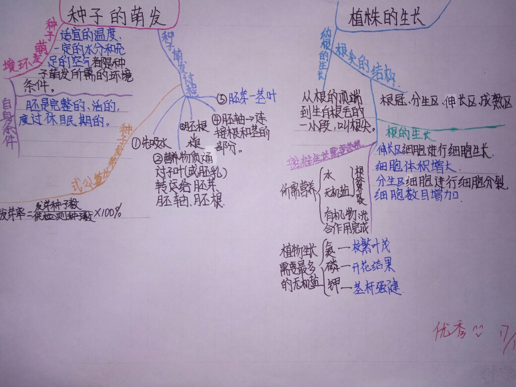 顺着思路绘出脉络清晰的思维导图