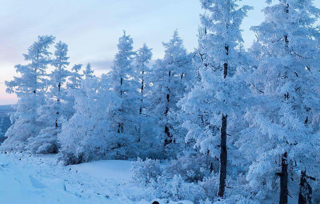 落雪的冬天