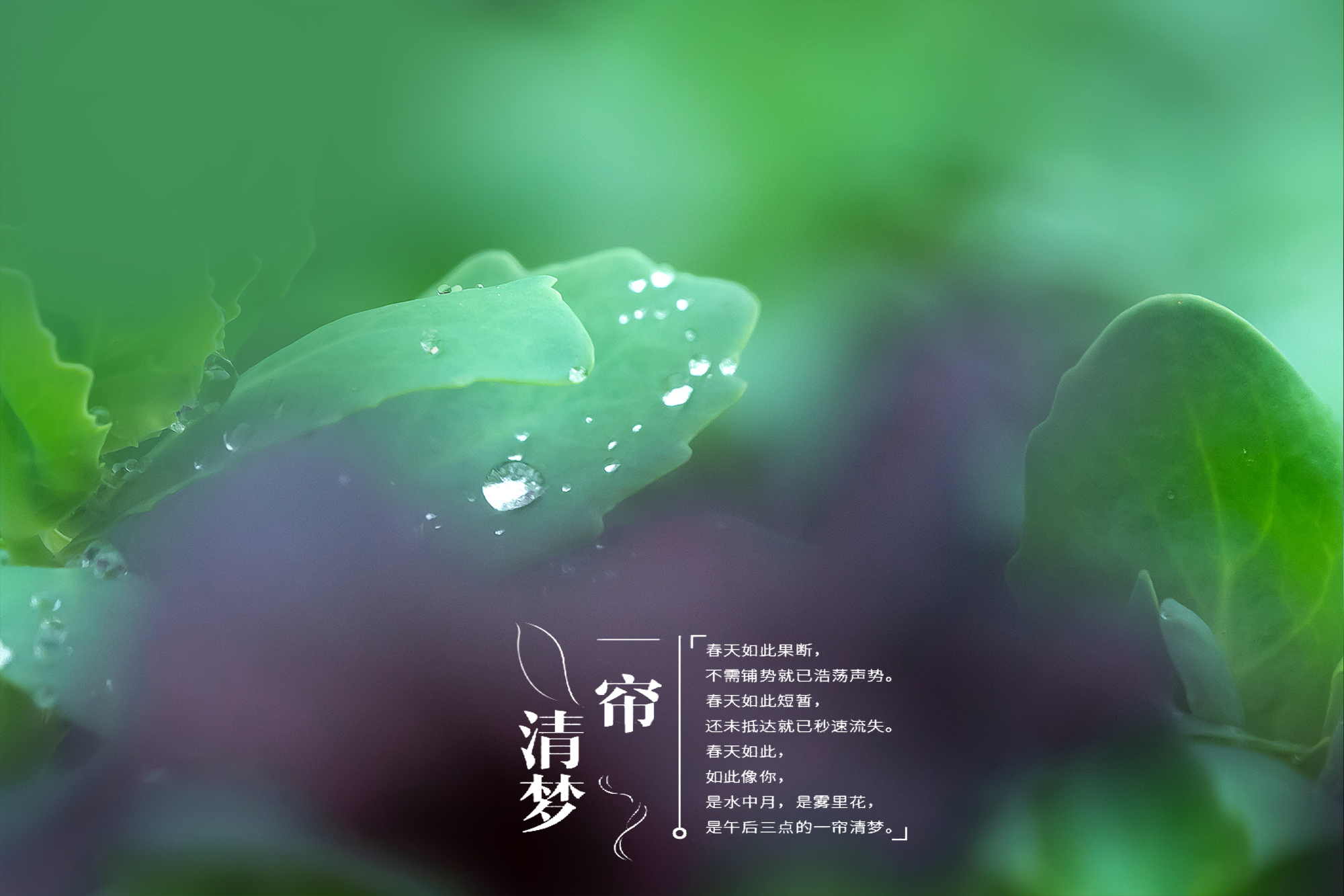 春雨绵绵,一帘清梦