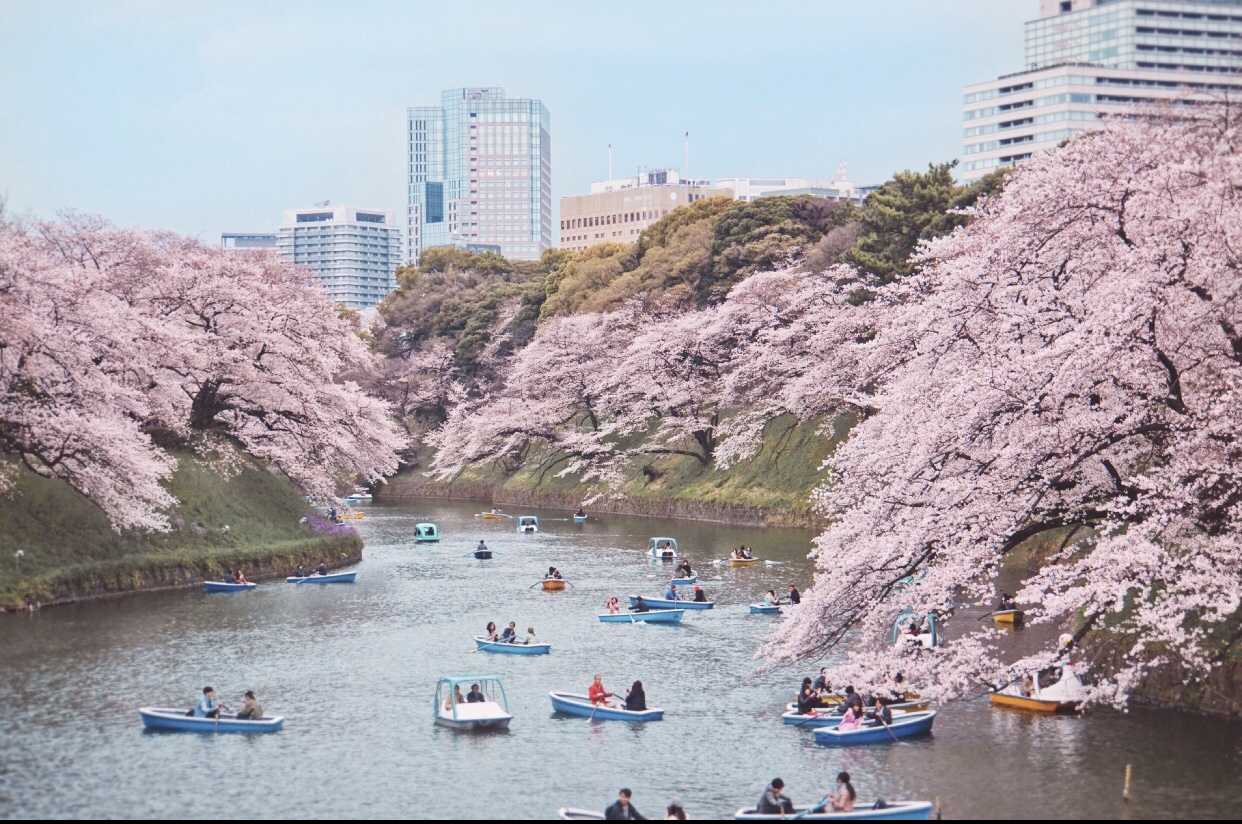 日本