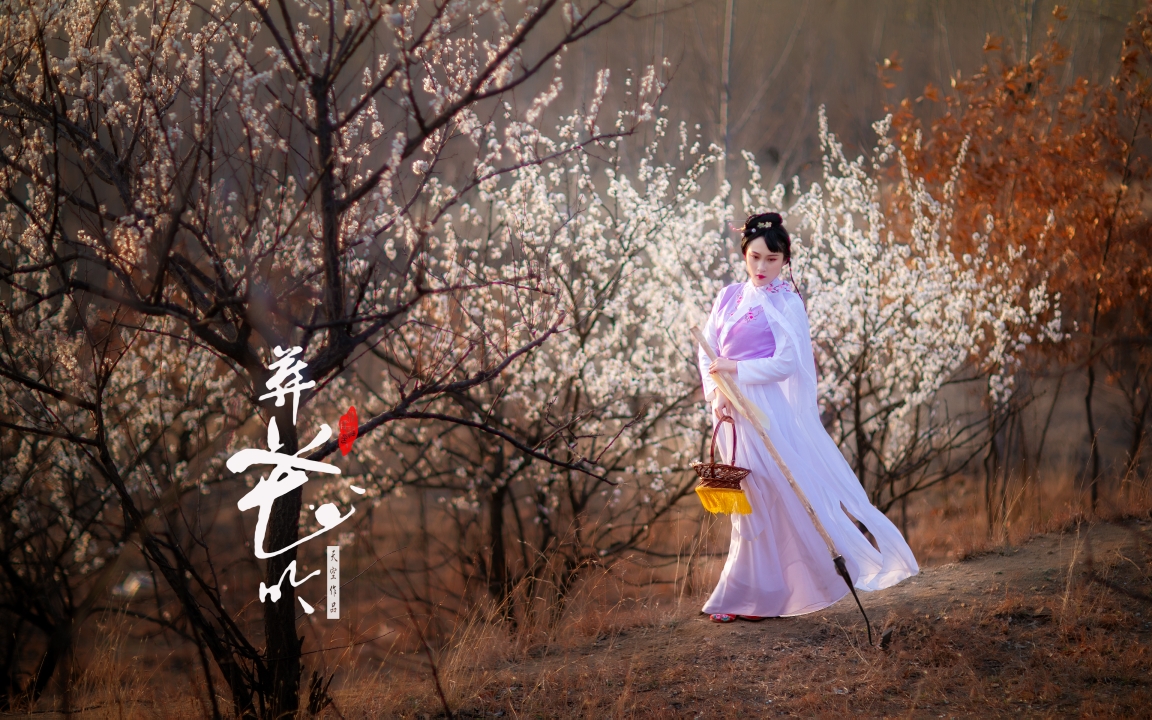花魂鸟魂总难留,鸟自无言花自羞 愿奴胁下生双翼,随花飞到天尽头