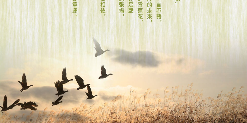 离别重逢