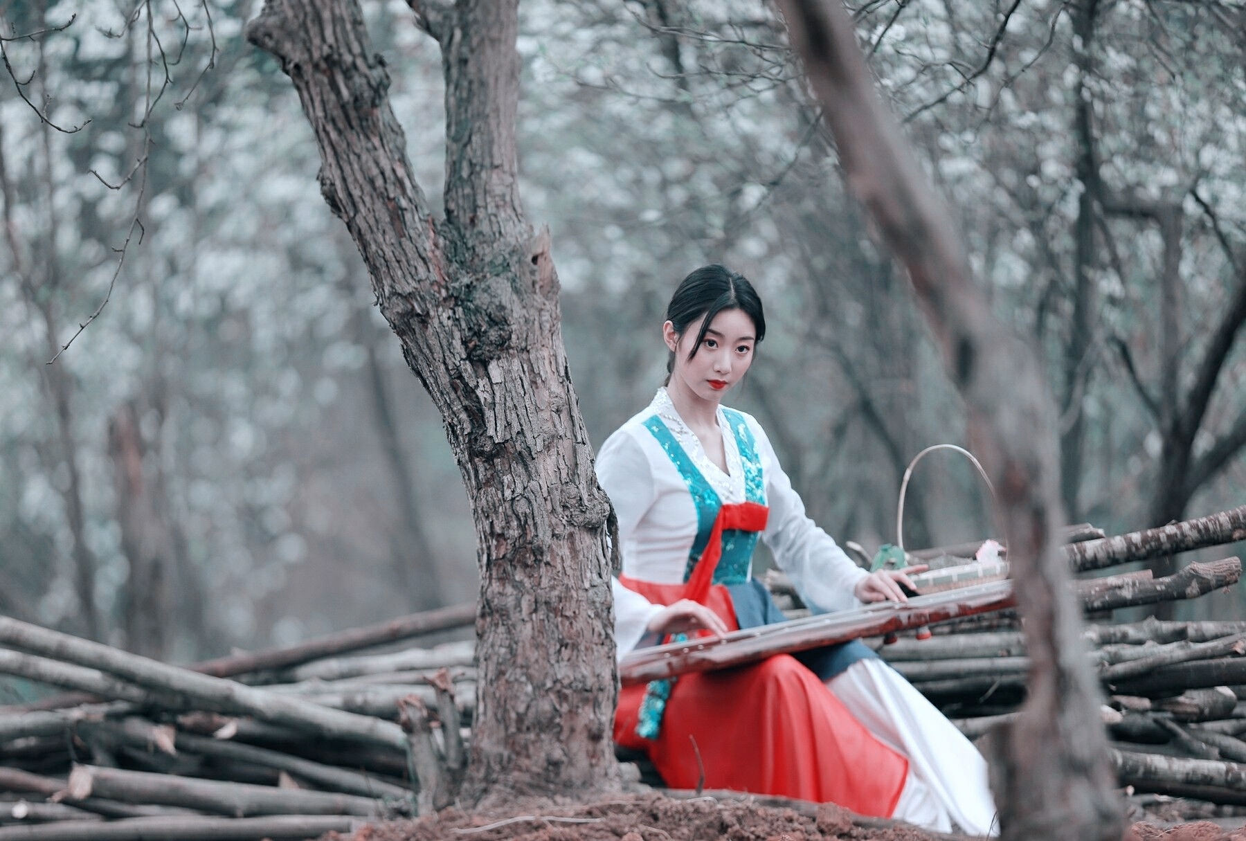 红尘来去一场梦