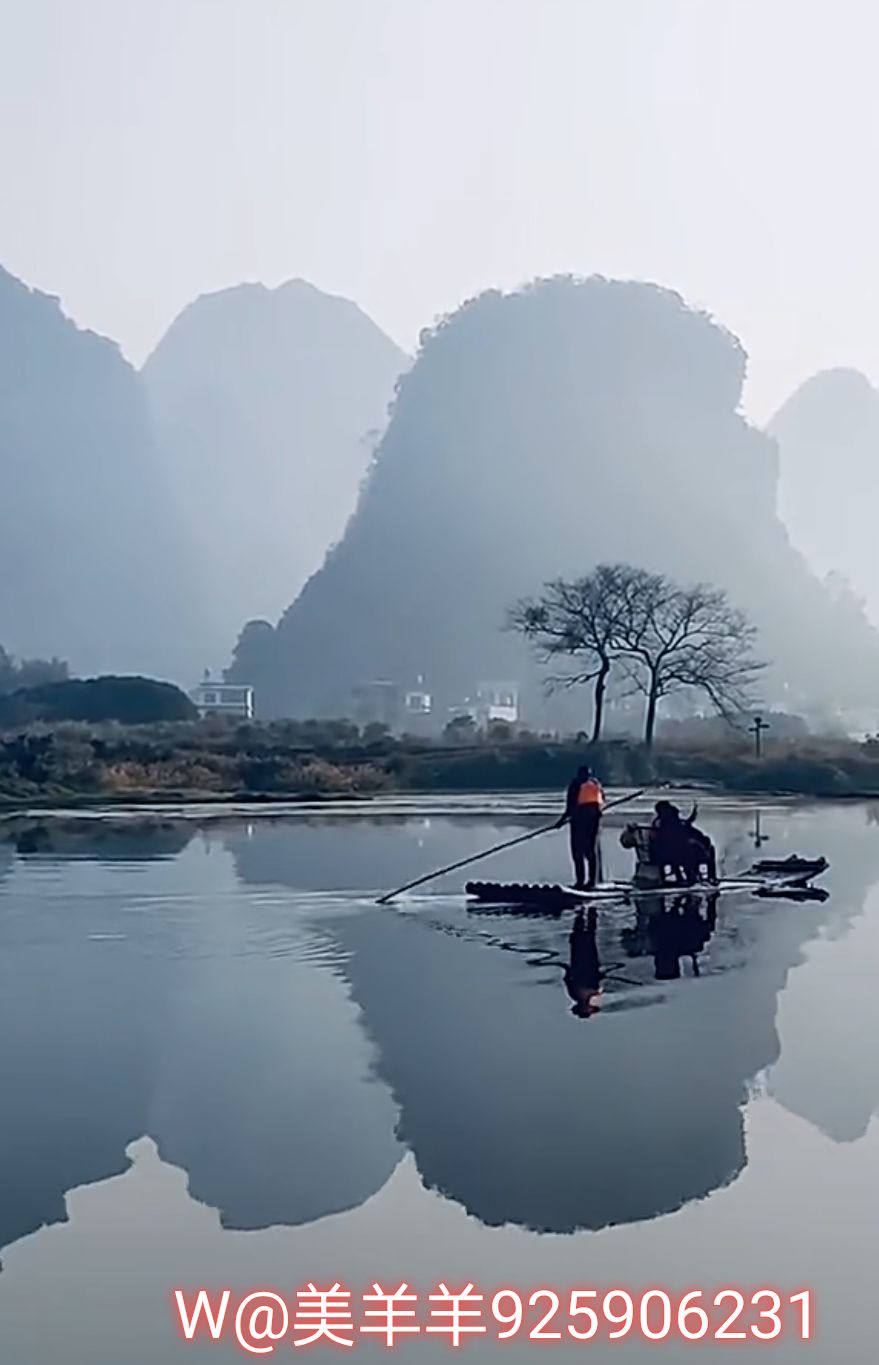 桂林山水甲天下,水墨丹青美如画.竹竿划破镜湖面,游客画中撑竹筏.