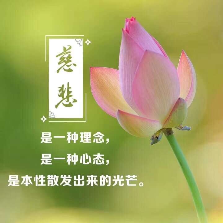 开悟好文饱受了无常的痛苦才会更加珍惜人生