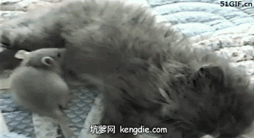 木良景点传说7猫鼻岭