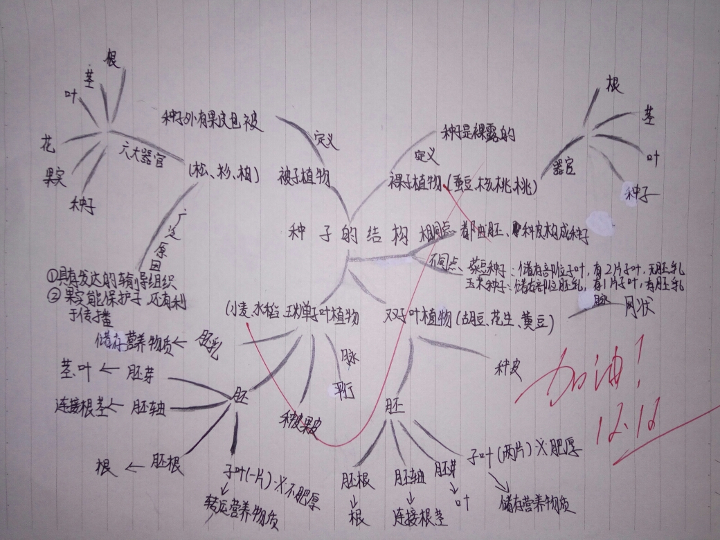 顺着思路绘出脉络清晰的思维导图