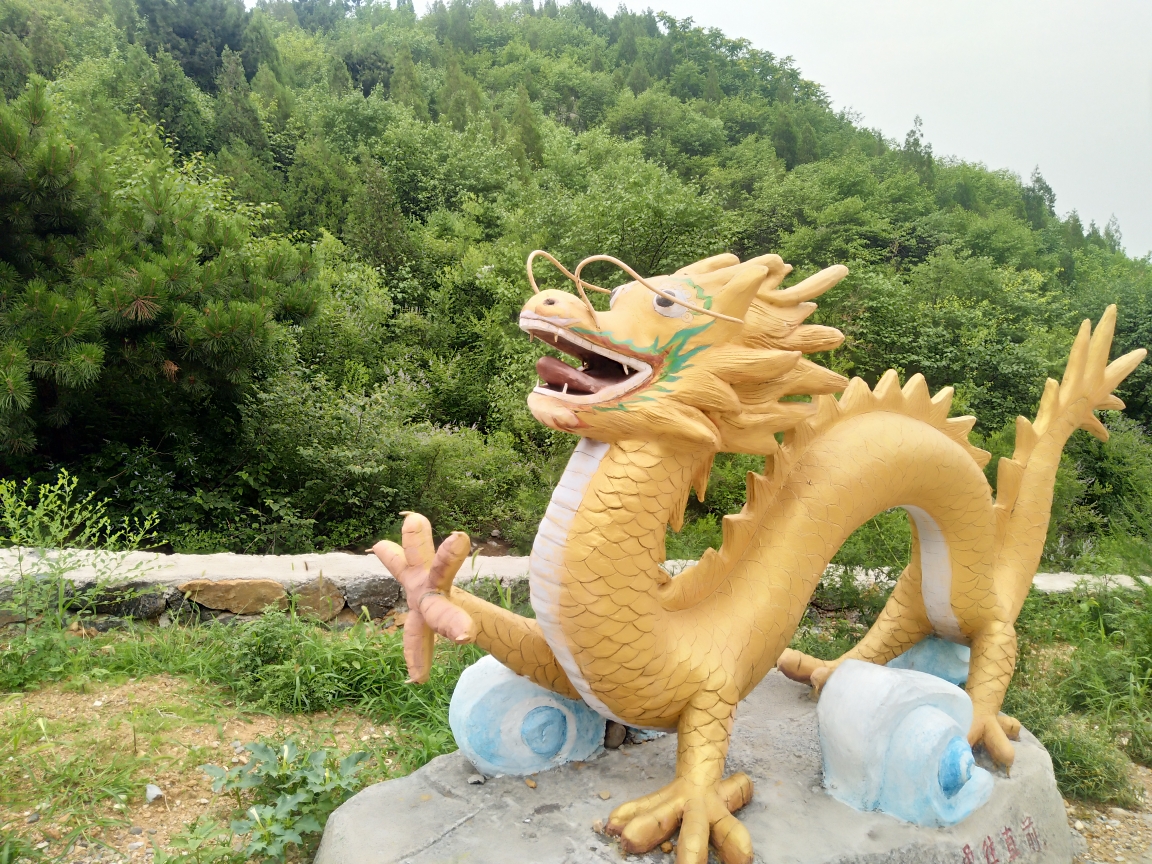 十二生肖