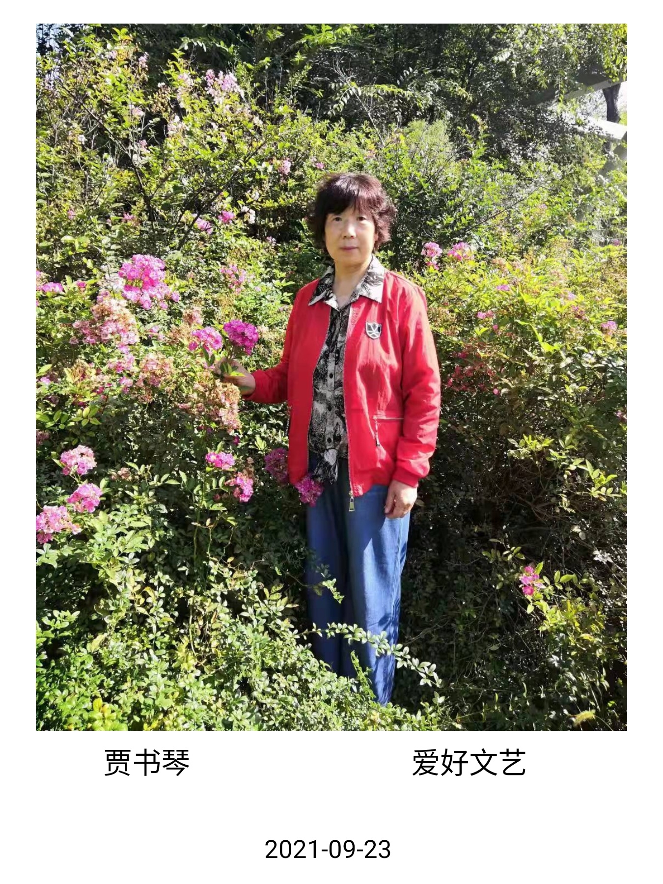 喜事盈门演唱贾书琴-未知