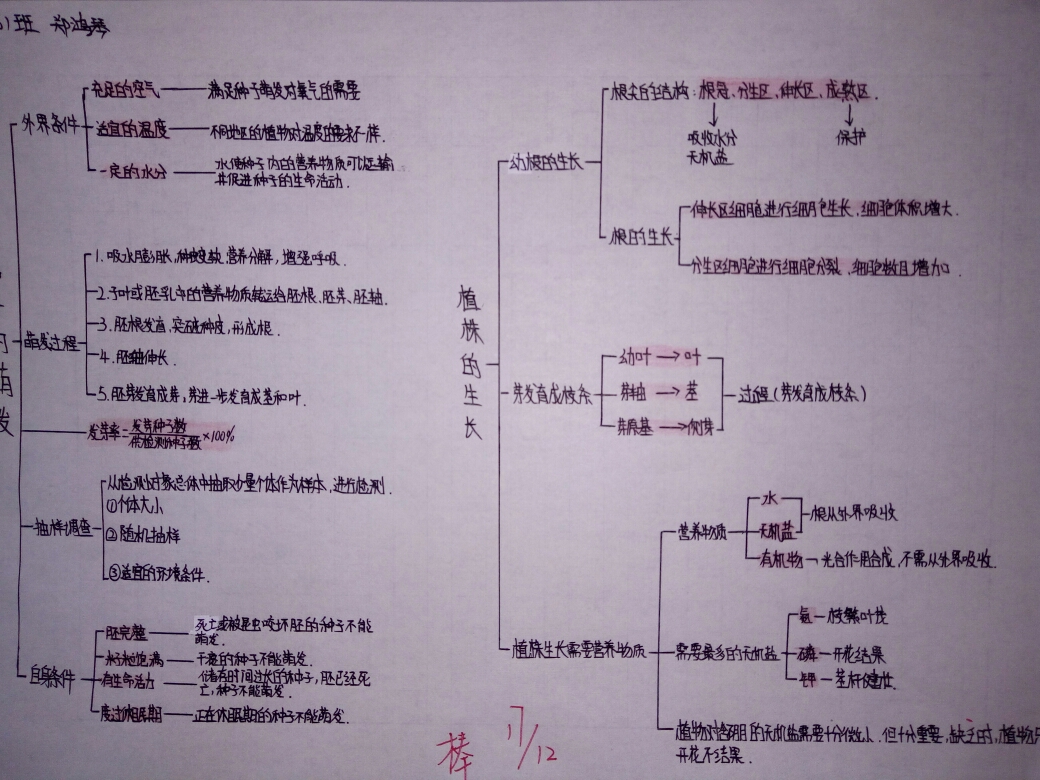 顺着思路绘出脉络清晰的思维导图