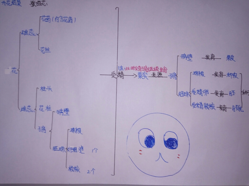 顺着思路,绘出脉络清晰的思维导图