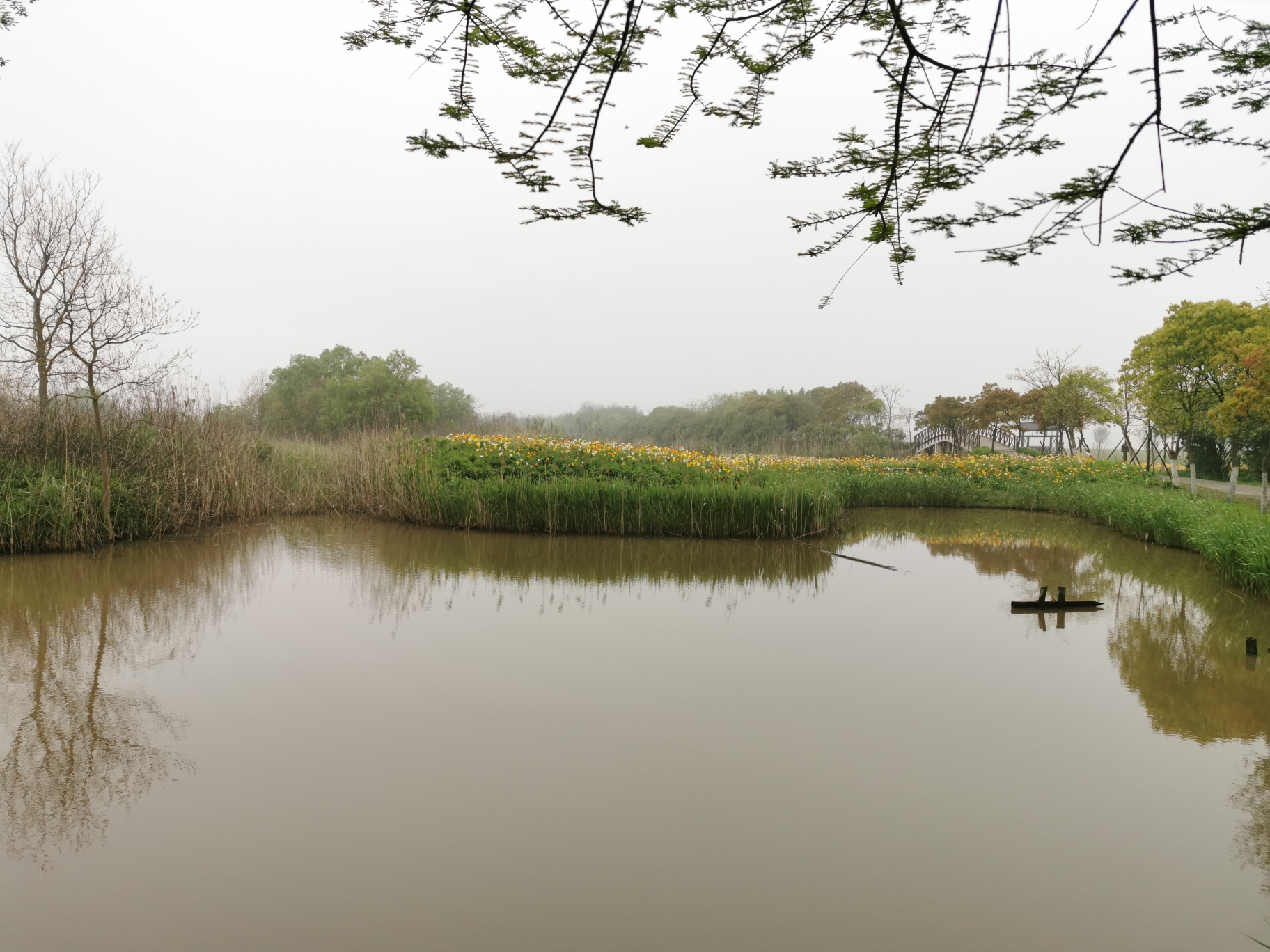 上海崇明岛东滩湿地公园