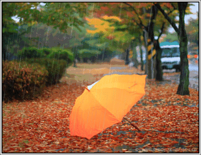 秋雨(新韵) 柳暗花明(黑龙江) 连绵细雨景空蒙,举伞身凉奔角亭.