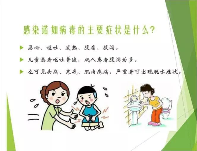 诺如病毒,关系着你我他