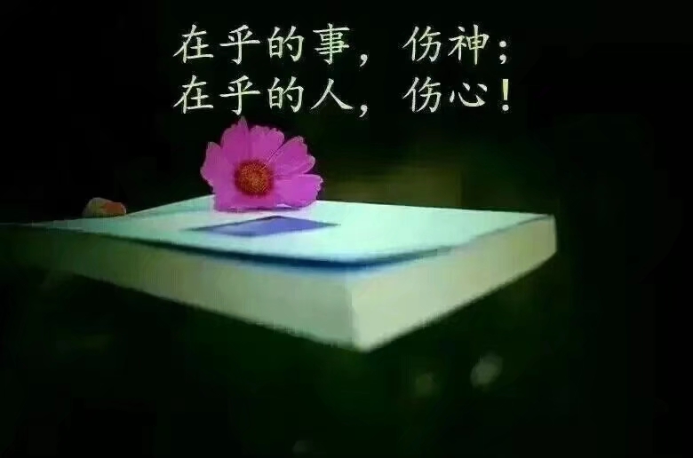 懂你的人不用解释不懂你的人让他有多远滚多远
