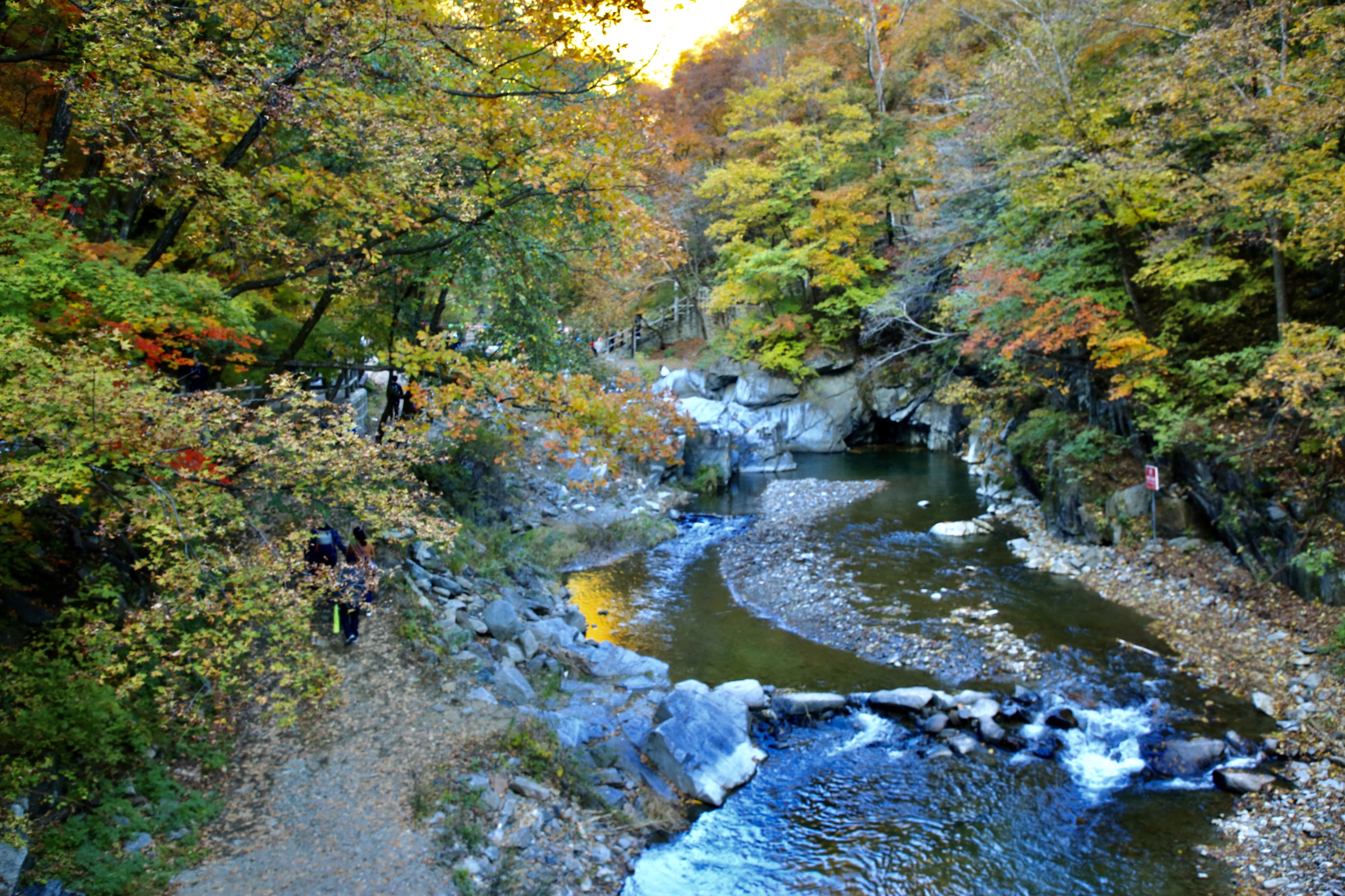 红叶醉山间眷恋溪流水