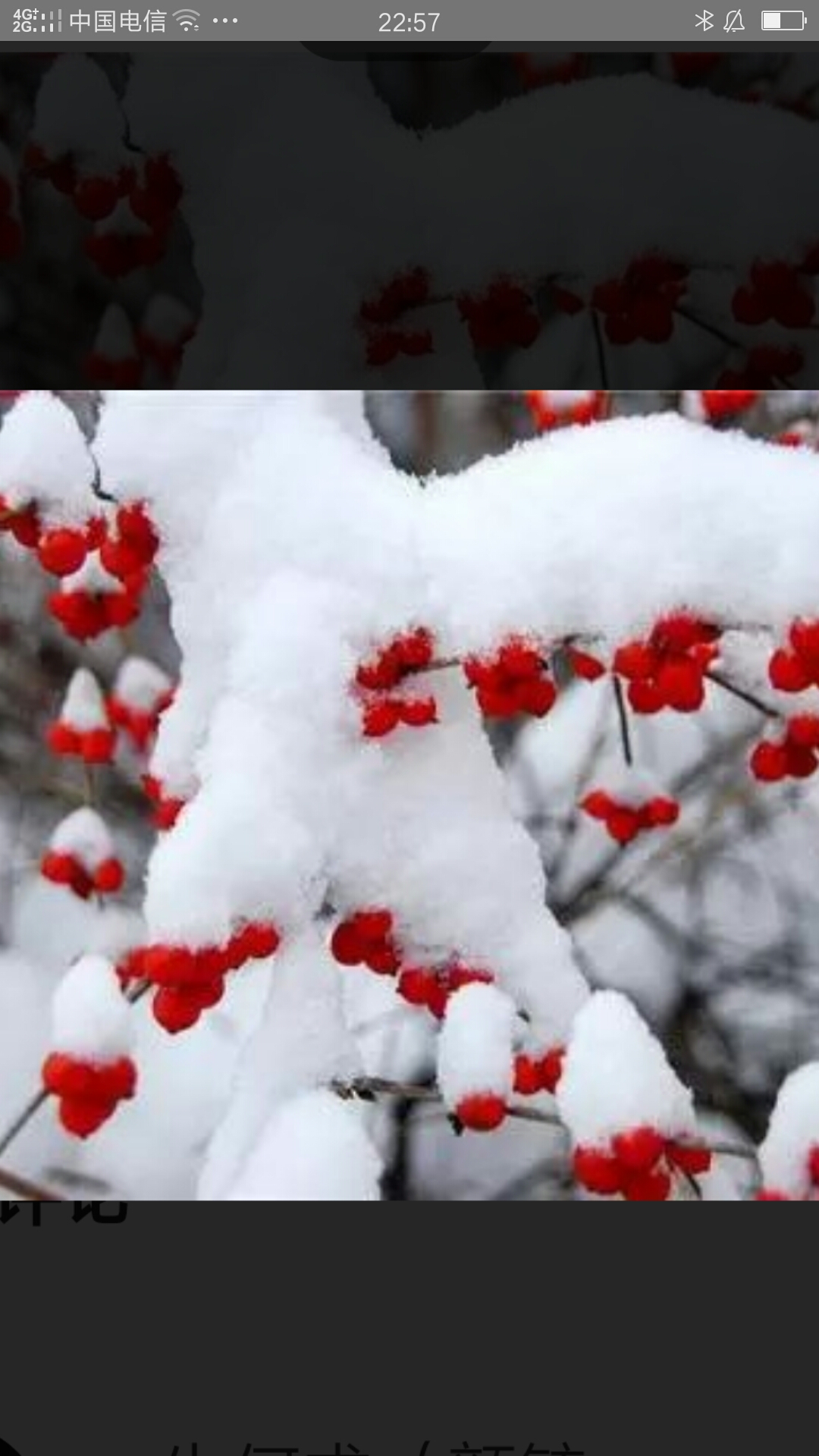 梅花虽傲骨但飘雪落无声梅花也有泪只是冰雪还未寒透梅花蕊