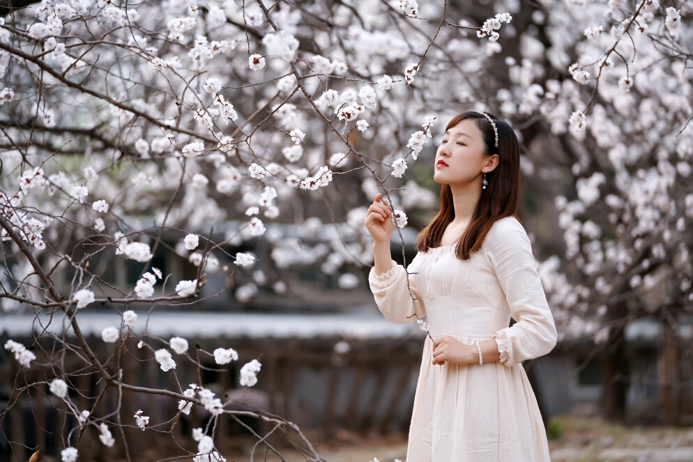 陌上花开等你来