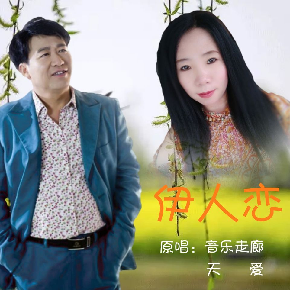 2018音乐走廊原创音乐伊人恋词曲音乐走廊王宝山原唱音乐走廊天爱专业