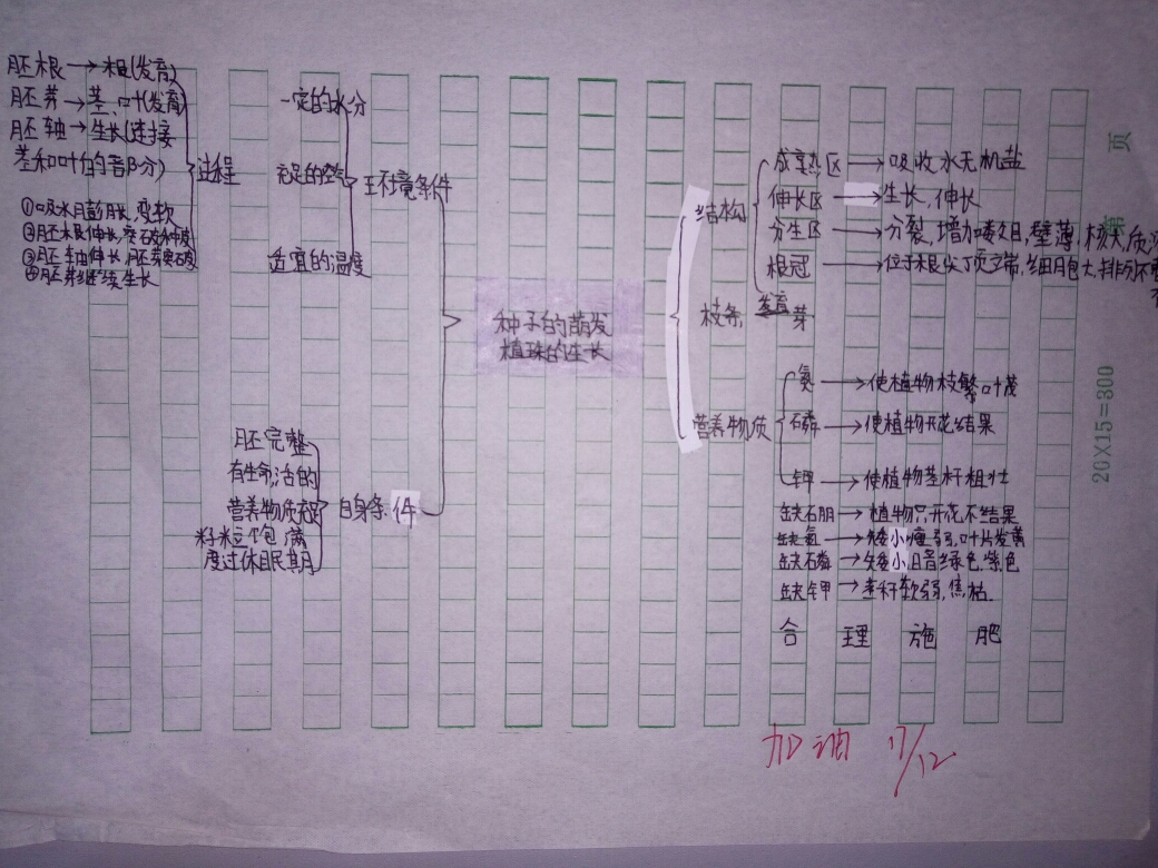 顺着思路绘出脉络清晰的思维导图