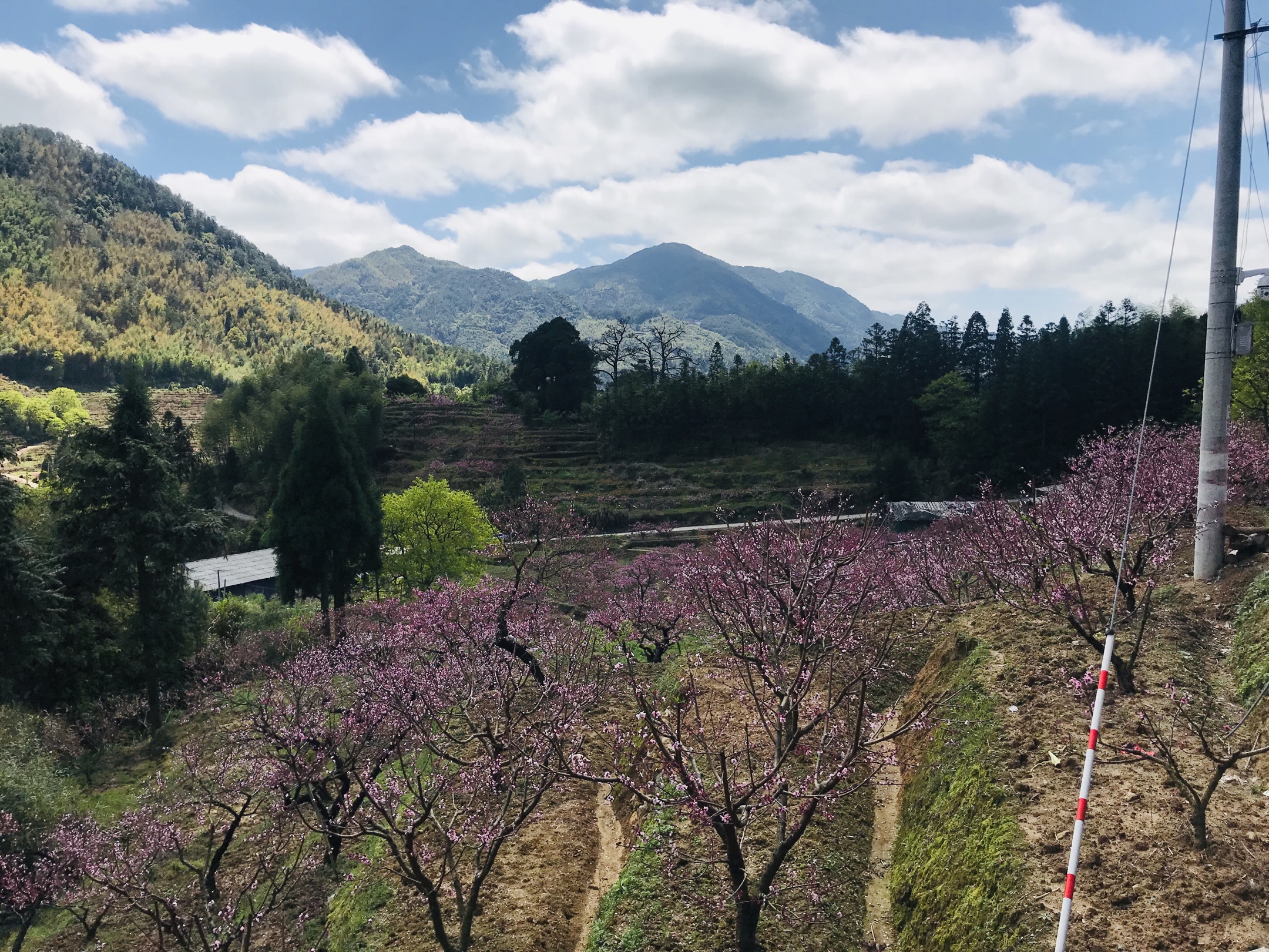 20200401古田临水宫兰坦村赏桃花一日游