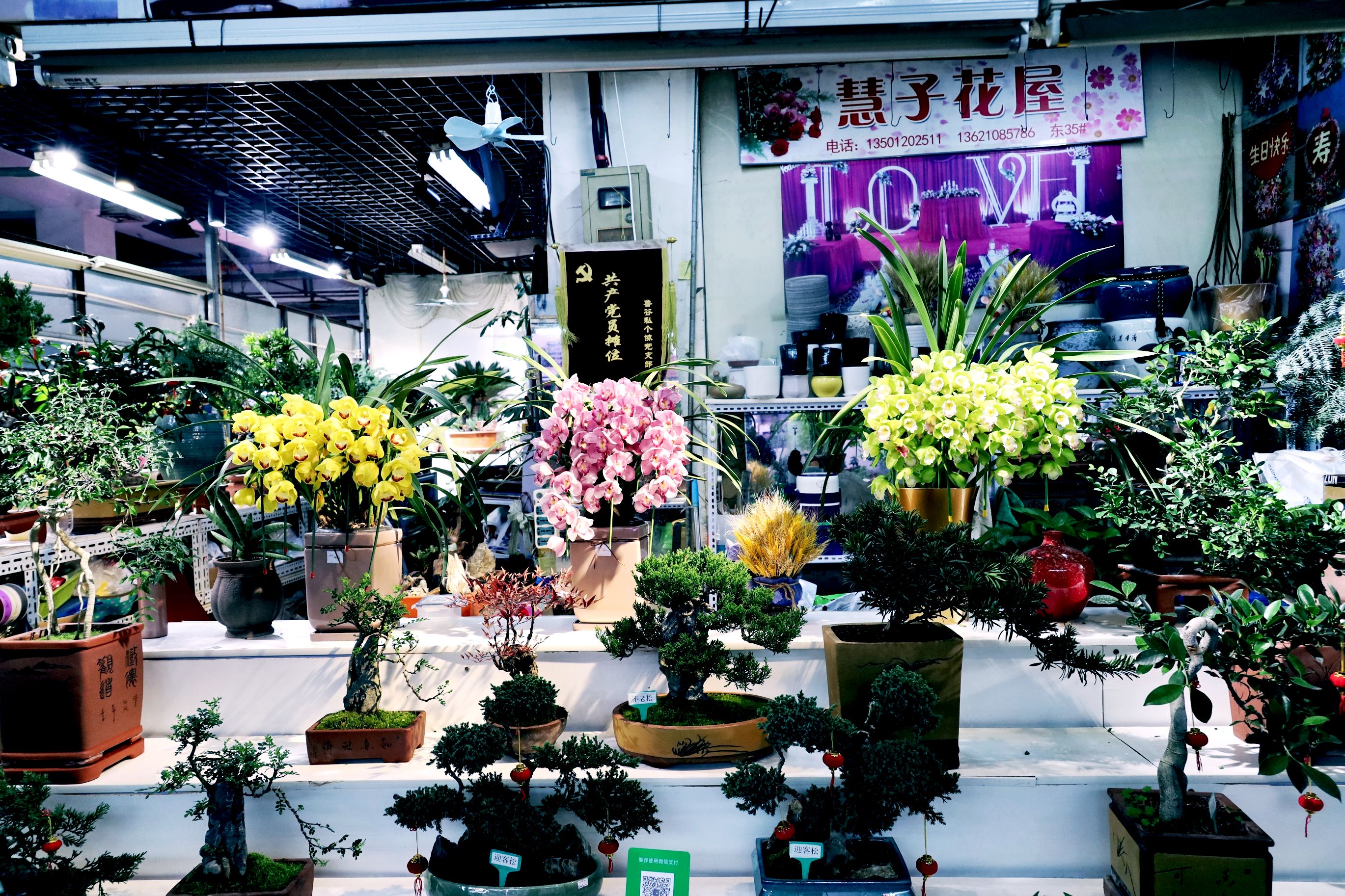 【首发】热闹的玉泉路花卉市场