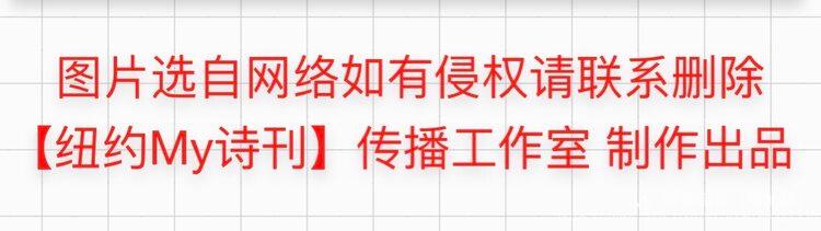 陈金茂｜秋一把将我拥入怀中（组诗）【冰心文化传媒】（图67）