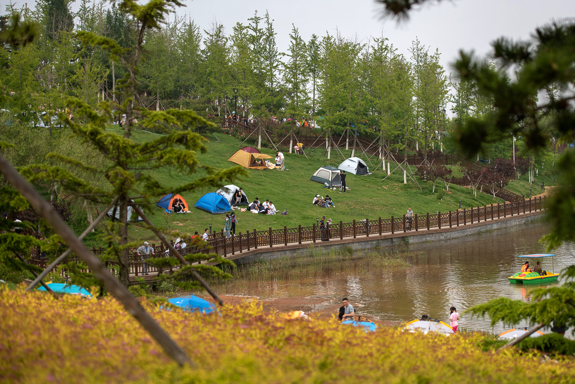 大连金石滩植物园游记