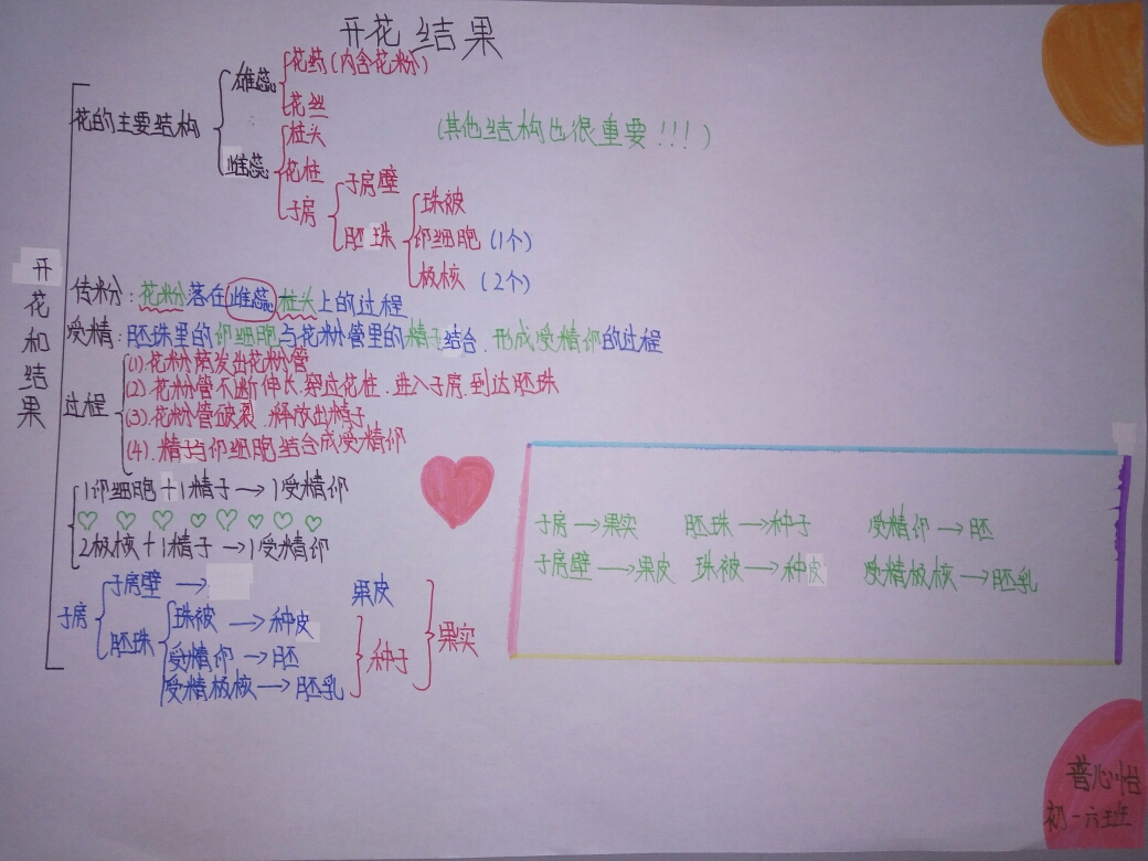 顺着思路绘出脉络清晰的思维导图