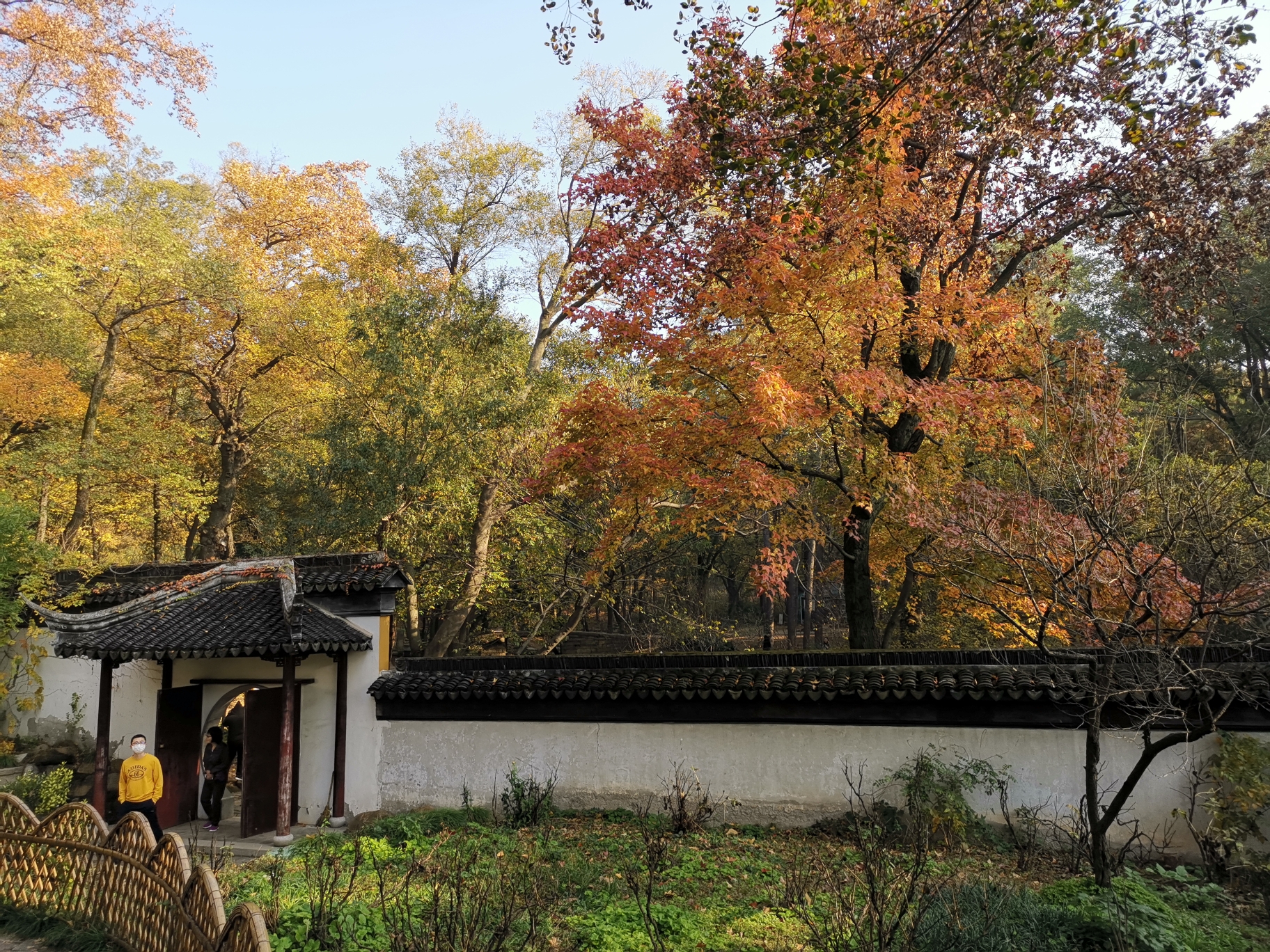 红枫之旅(二)苏州市天平山风景区