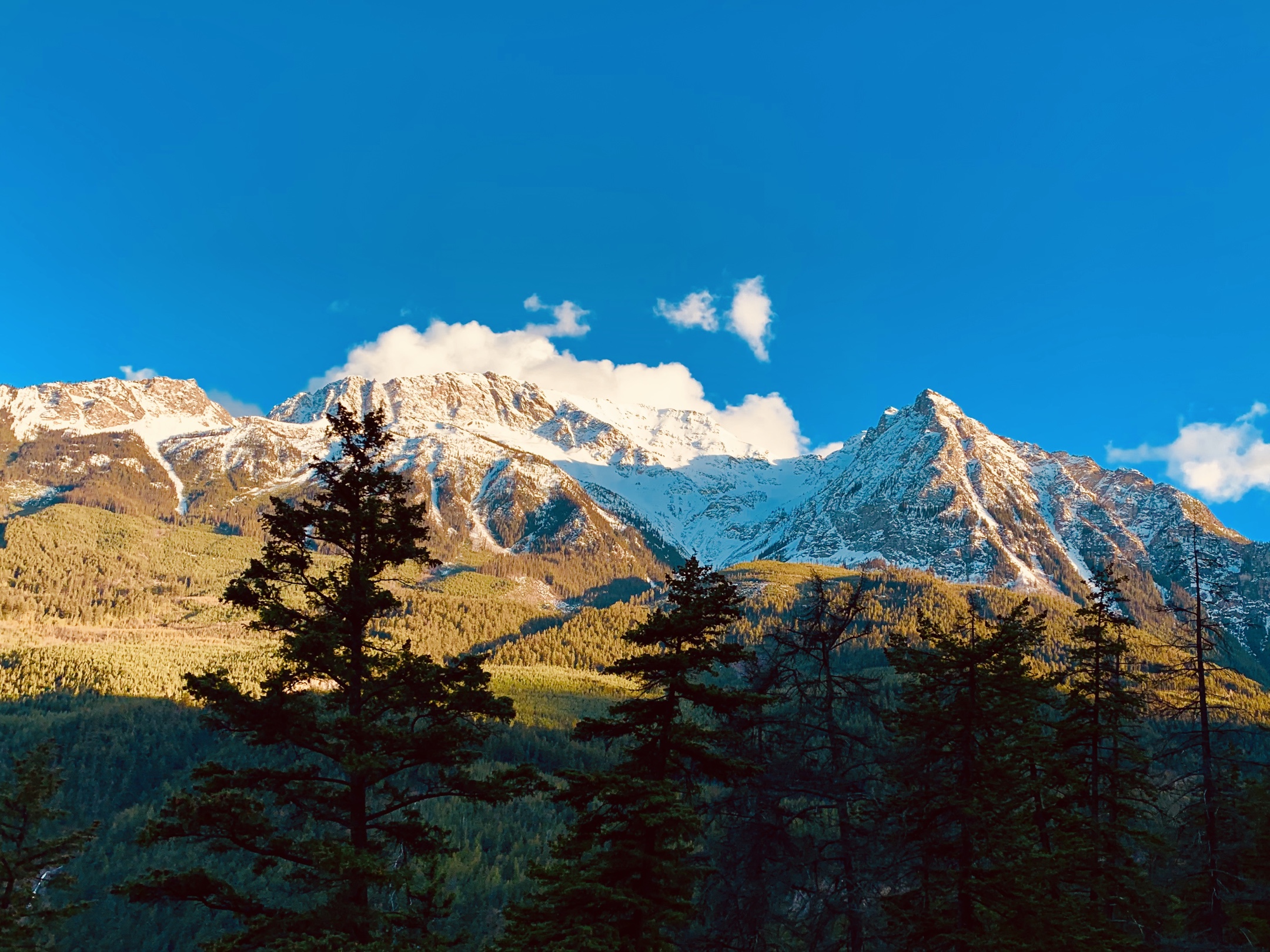 春走加拿大10惠斯勒坎普斯雪山群日照金山