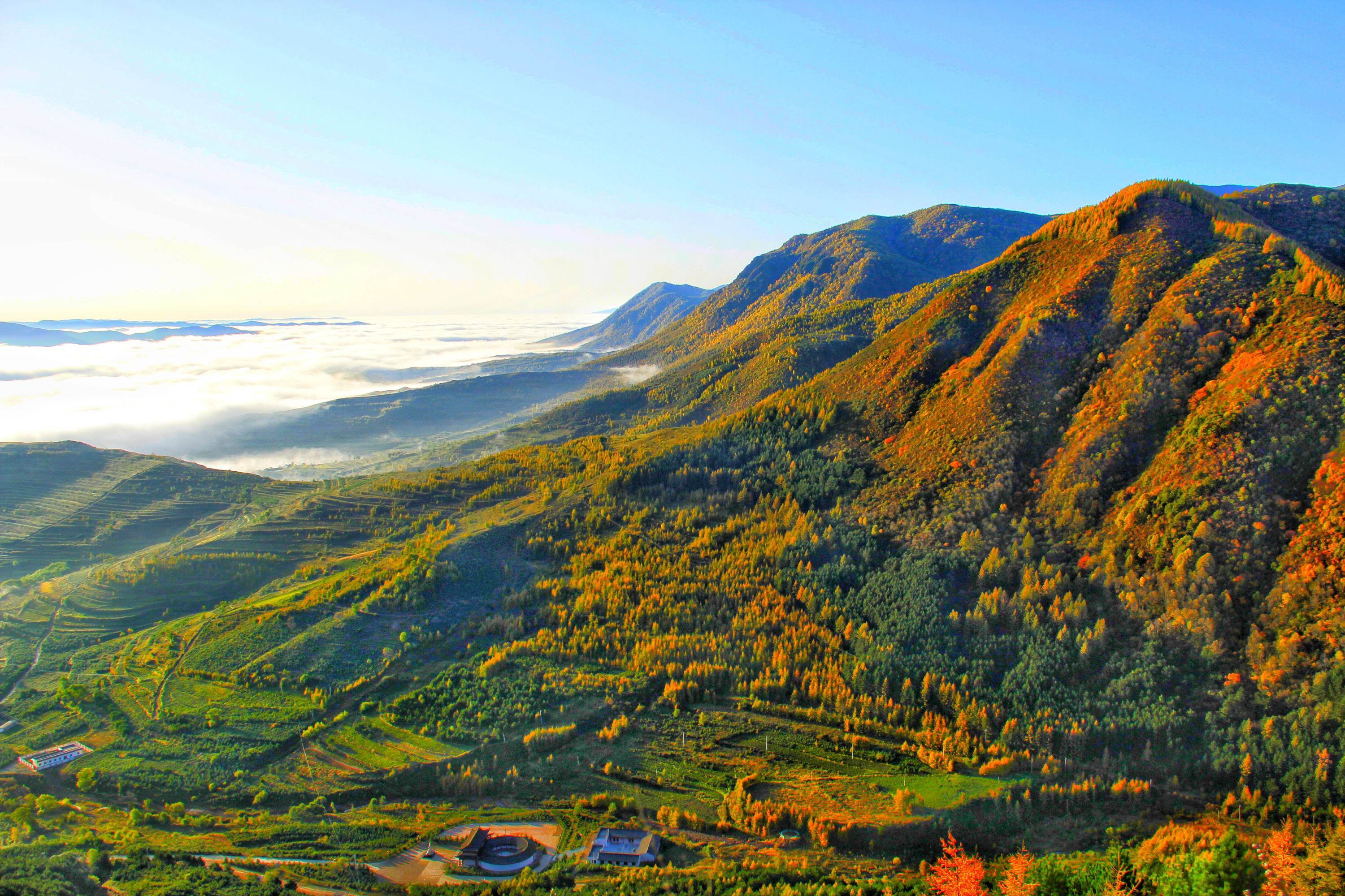 秋染六盘山,层林尽染正迷人