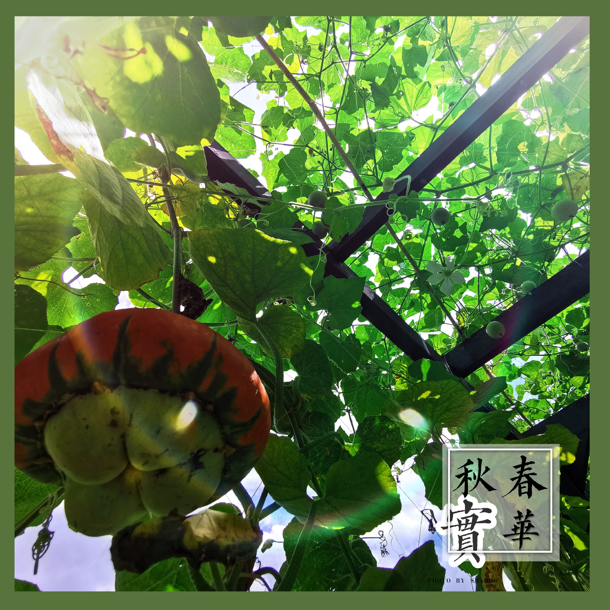 【首发】春华秋实