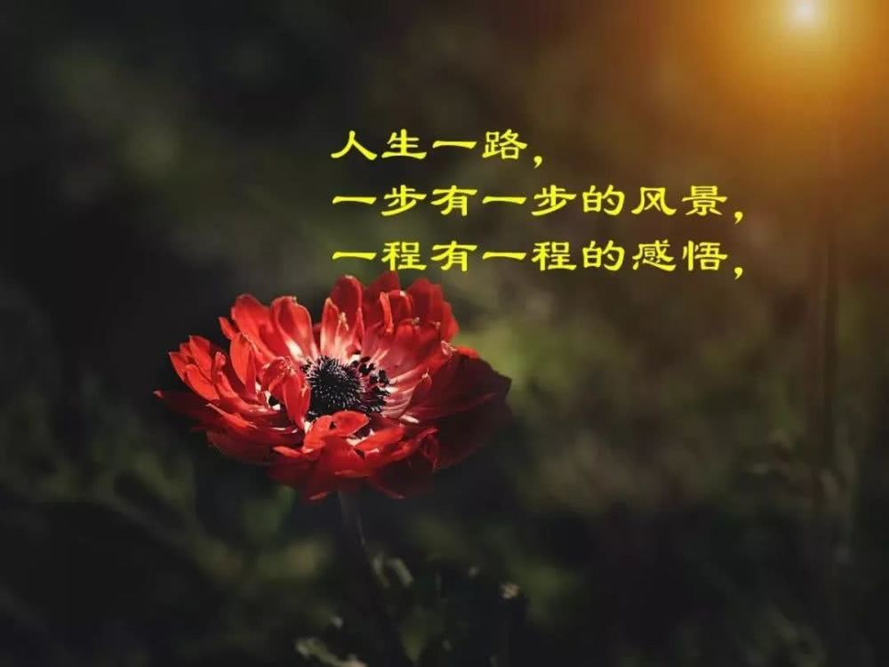 感悟人生