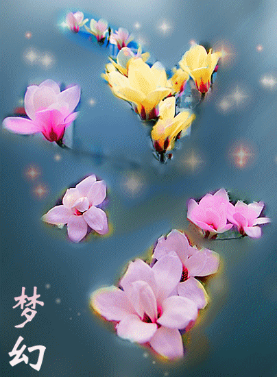 玉兰花