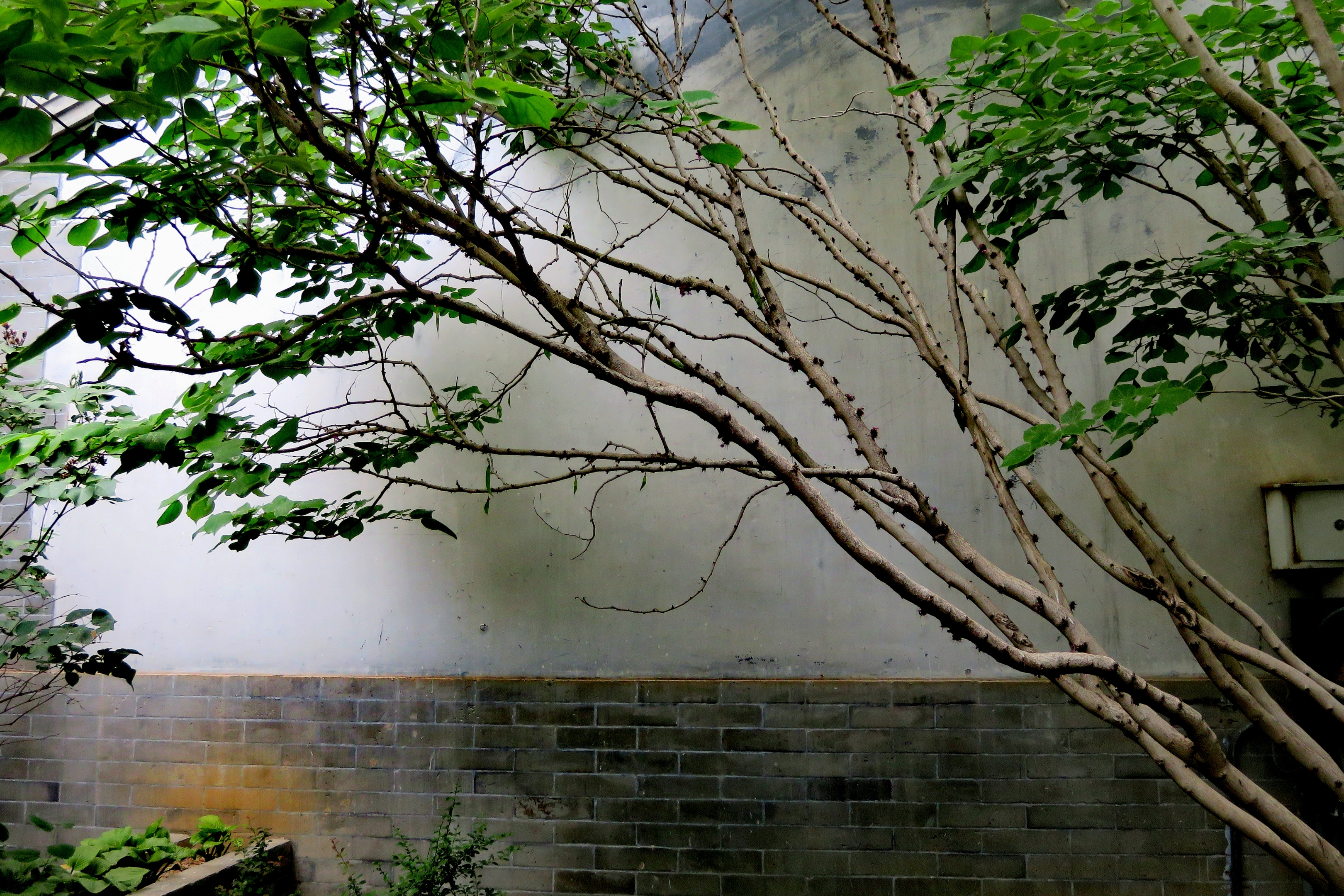 风调雨顺总是情