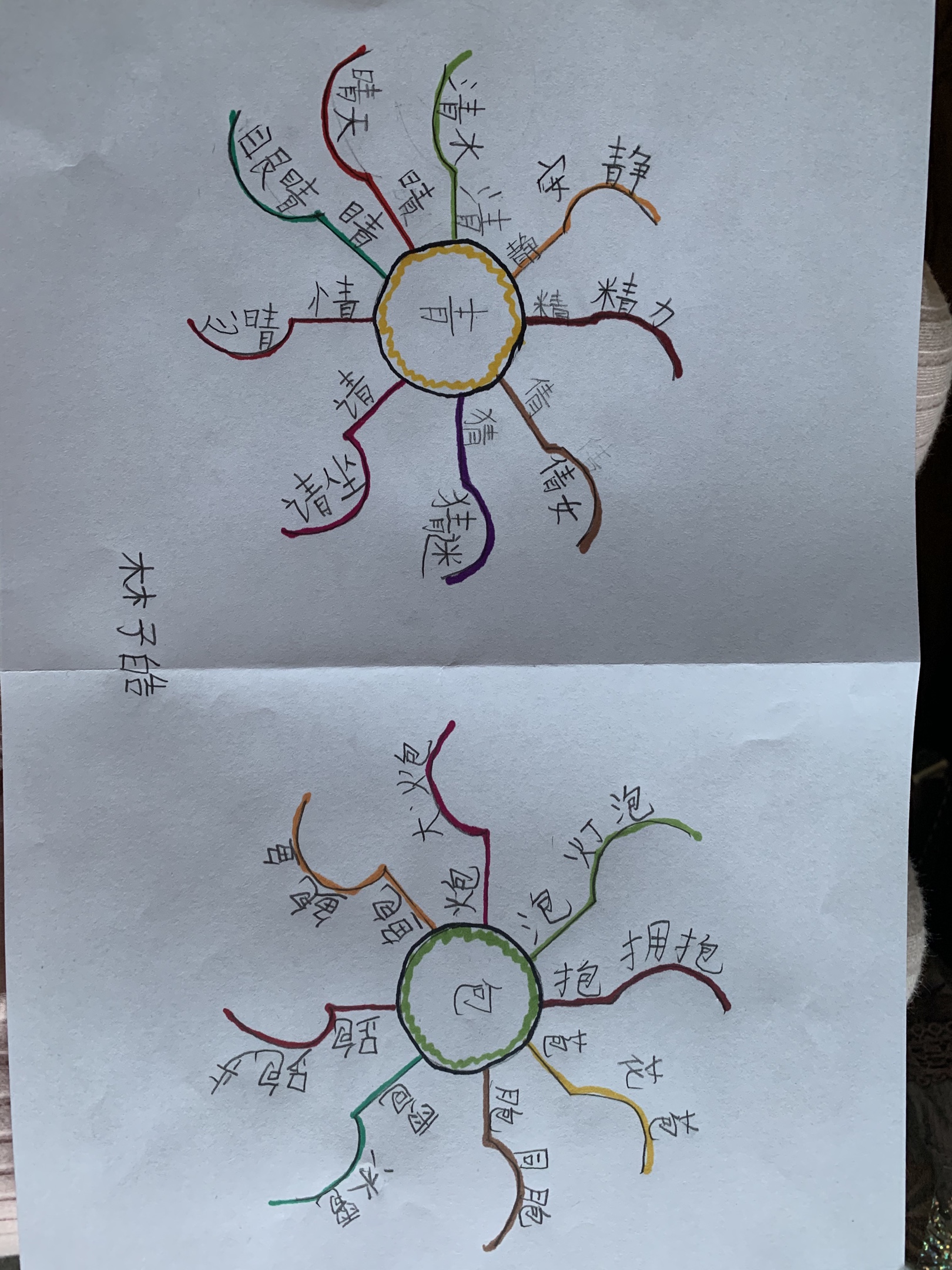 【班记】一年五班用思维导图引领学生轻松踏上形声字识字之旅