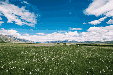 远方的草原(原创歌词)