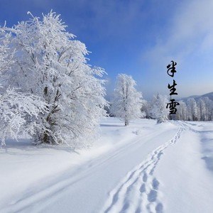 半生雪图片来源网络