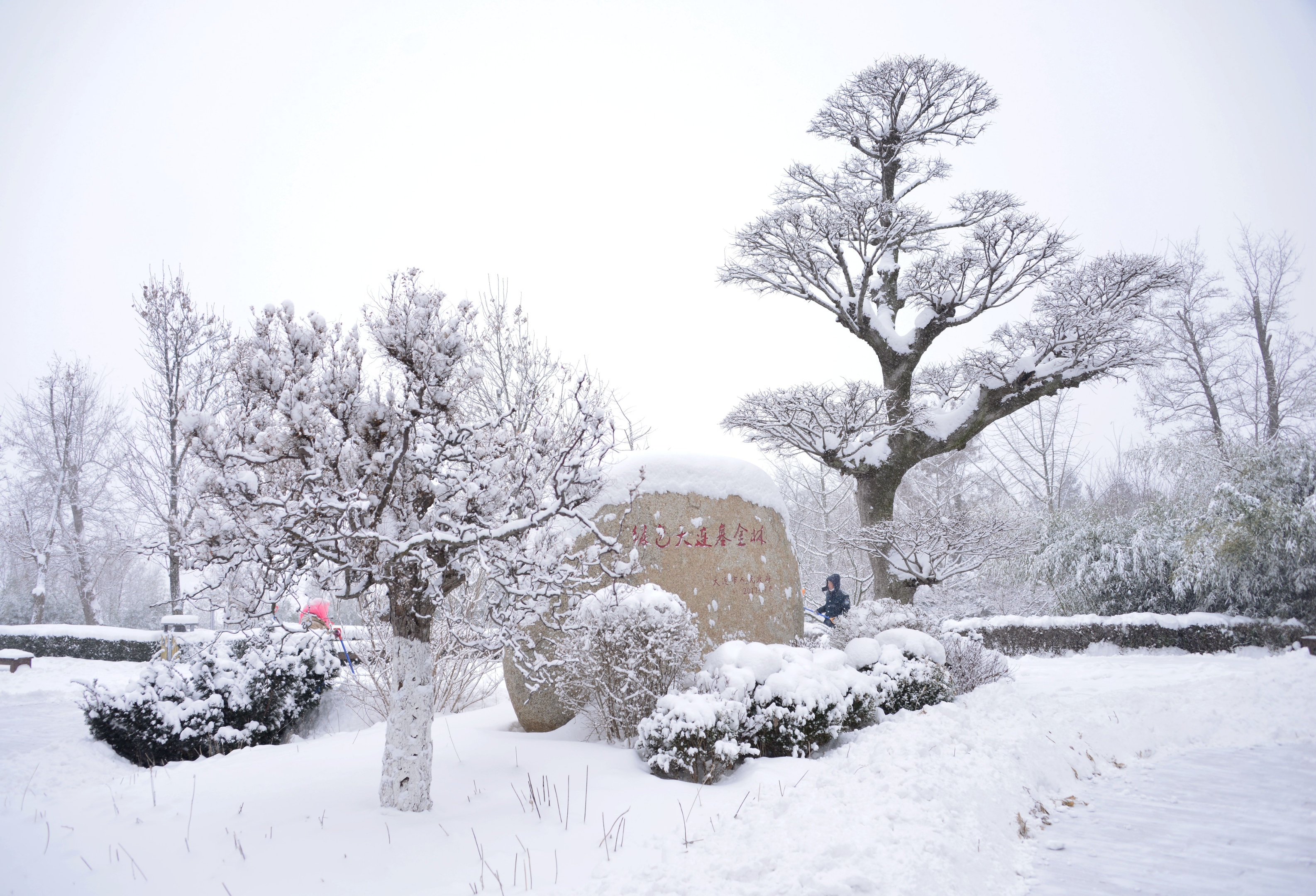 首发瑞雪兆丰年