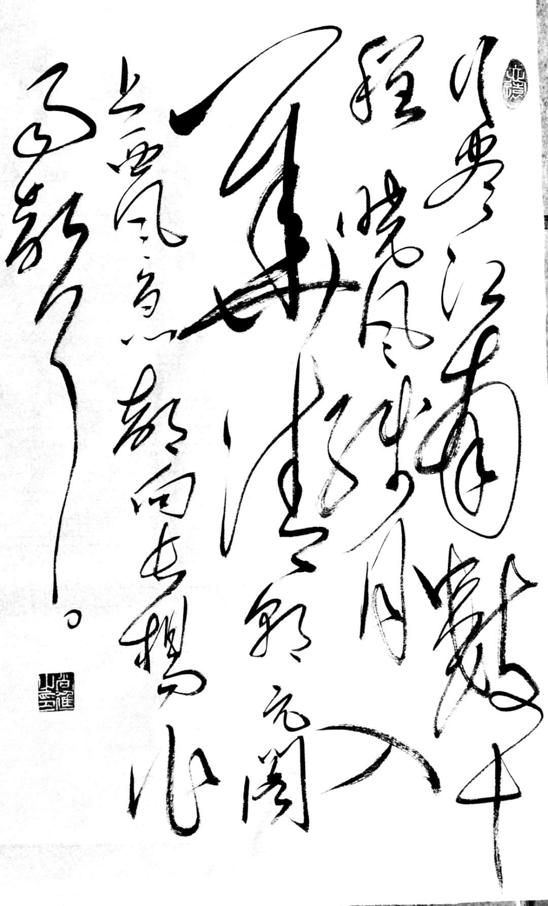 党的光辉照我心——尚进