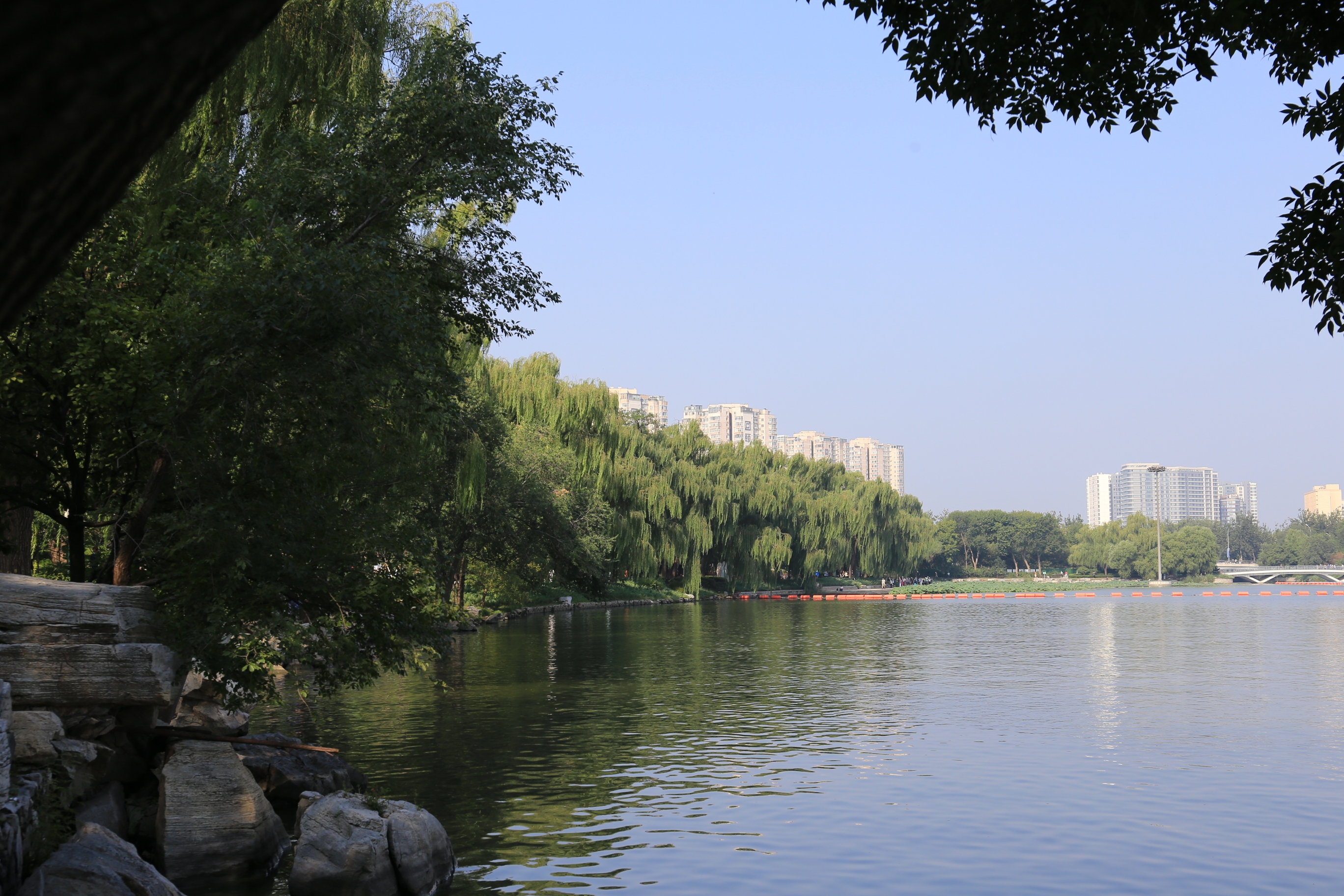 玉渊潭公园