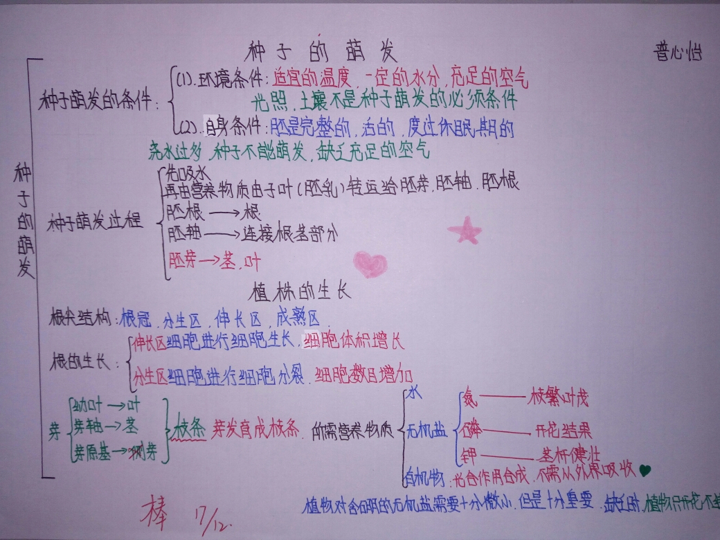 顺着思路绘出脉络清晰的思维导图