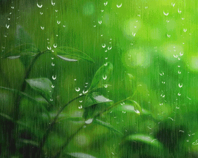 霜叶低窗秋容淡黄花深巷晚节香