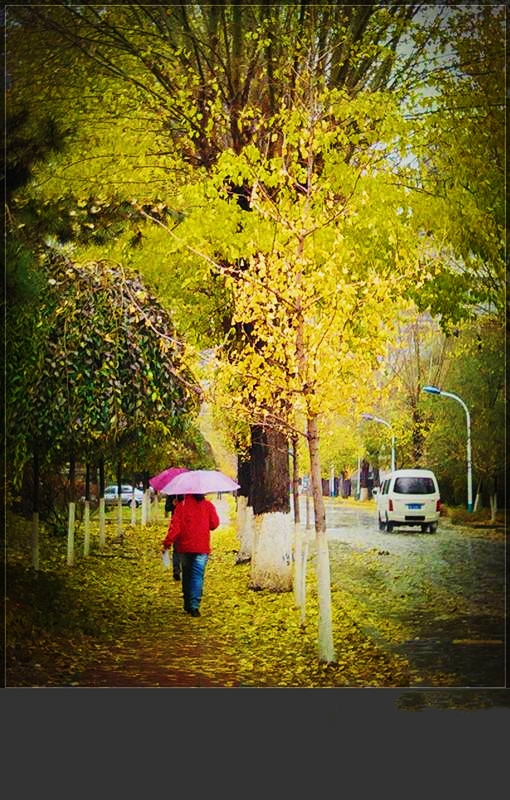 秋雨绵绵落叶无声