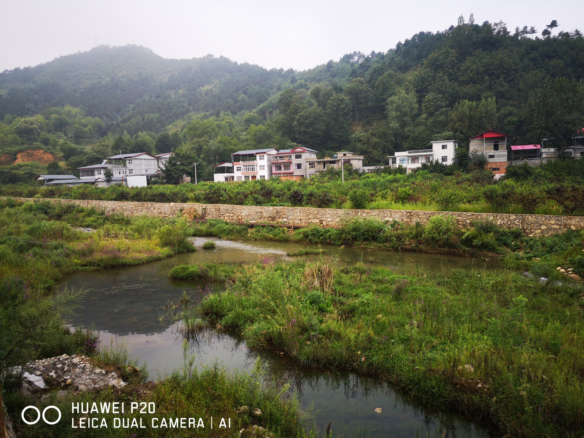 伊河源头的水自山中流经这里.古油坊院中的仿古水车.