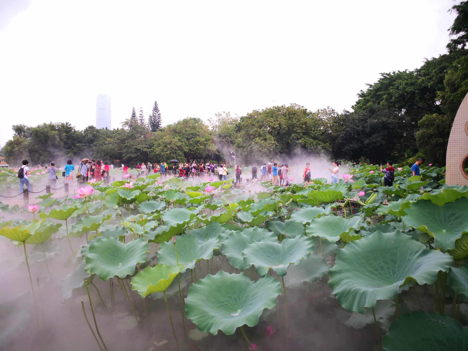 深圳洪湖公园喷雾景观(2018.6.14手机拍)