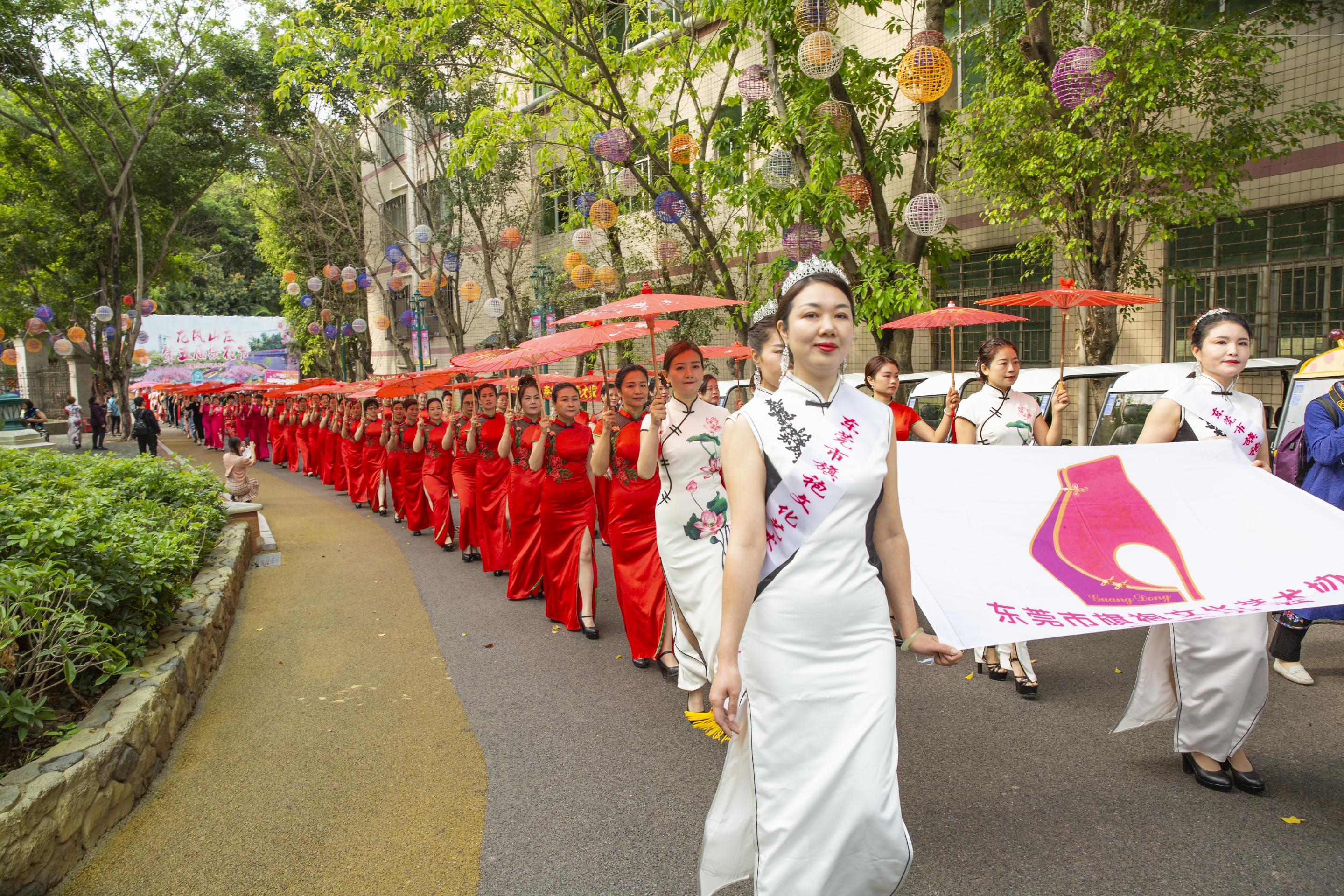女神们三八节快乐