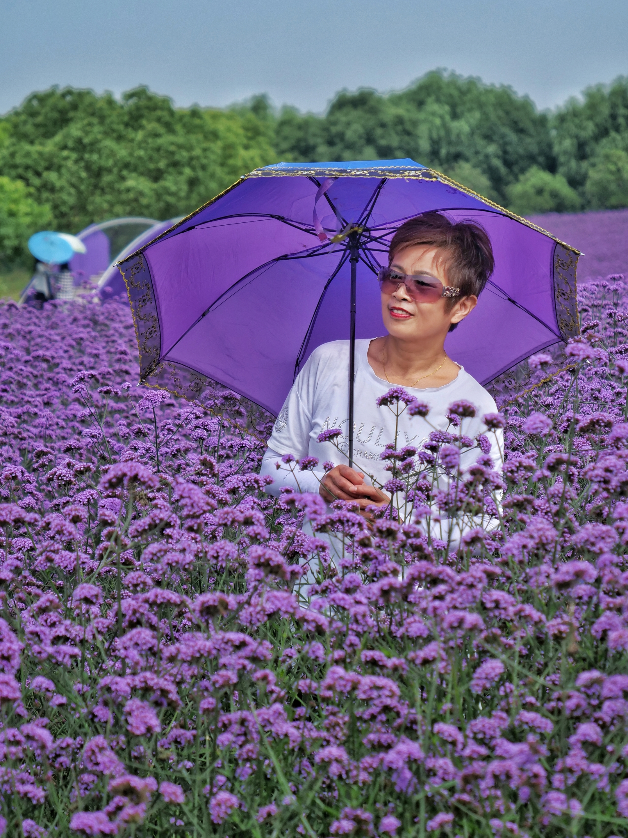 2021上海寻梦源首届薰衣草文化节