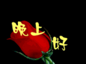 老同学晚上好忙碌了一天的你睡了吗愿你在美妙的音乐声中进入梦乡祝
